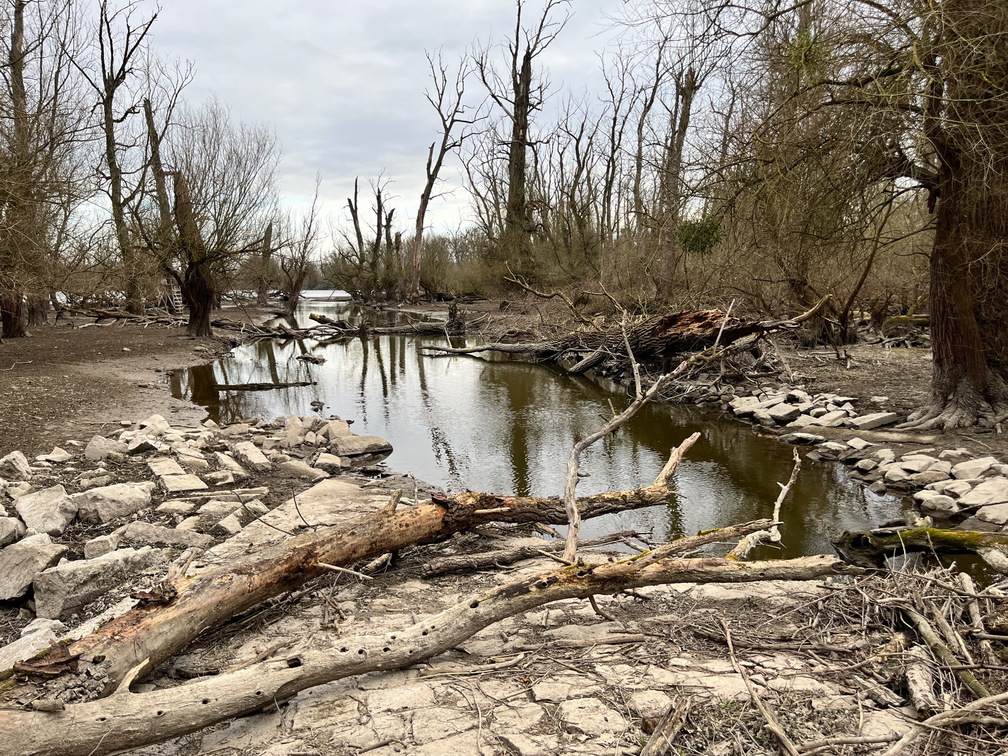 23-02-18 15-29-43 4268